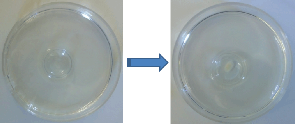 cd2b8b63-e0aa-41c0-9807-fa25bfe76955_figure1.gif