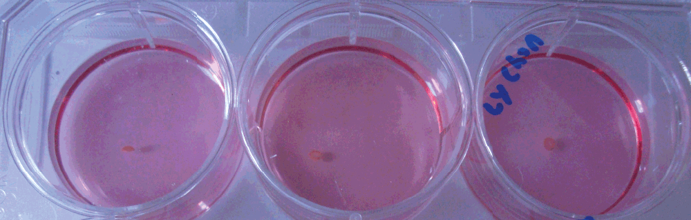 cd2b8b63-e0aa-41c0-9807-fa25bfe76955_figure3.gif