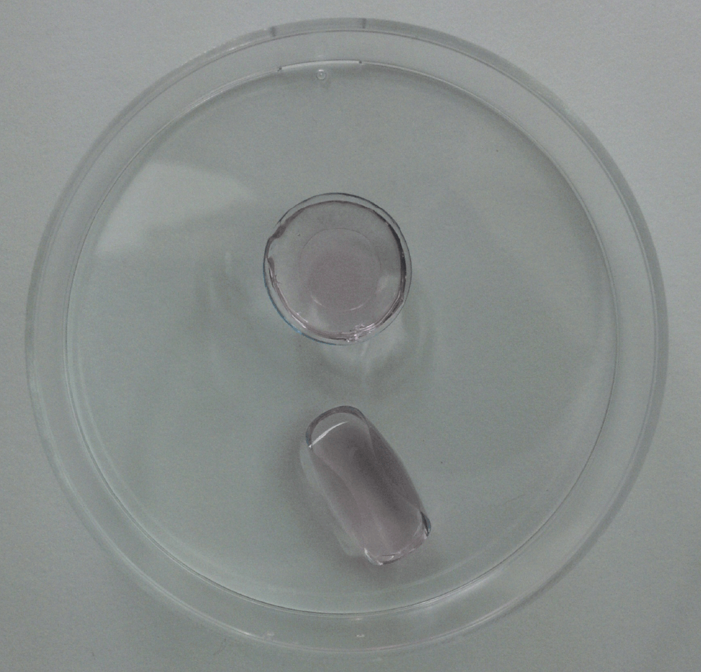 cd2b8b63-e0aa-41c0-9807-fa25bfe76955_figure4.gif