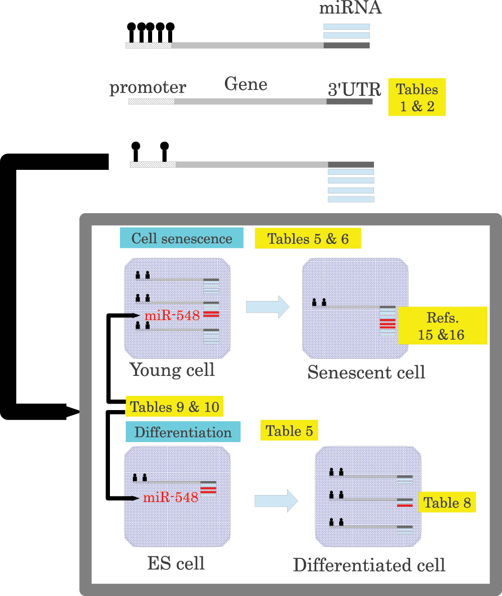 bee8b09f-7e09-4a4c-a302-a67b967229ad_figure1.gif