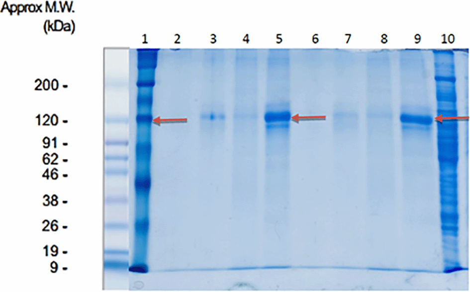 ef7dff5d-ed71-4f01-8786-5f694fad52d3_figure1.gif