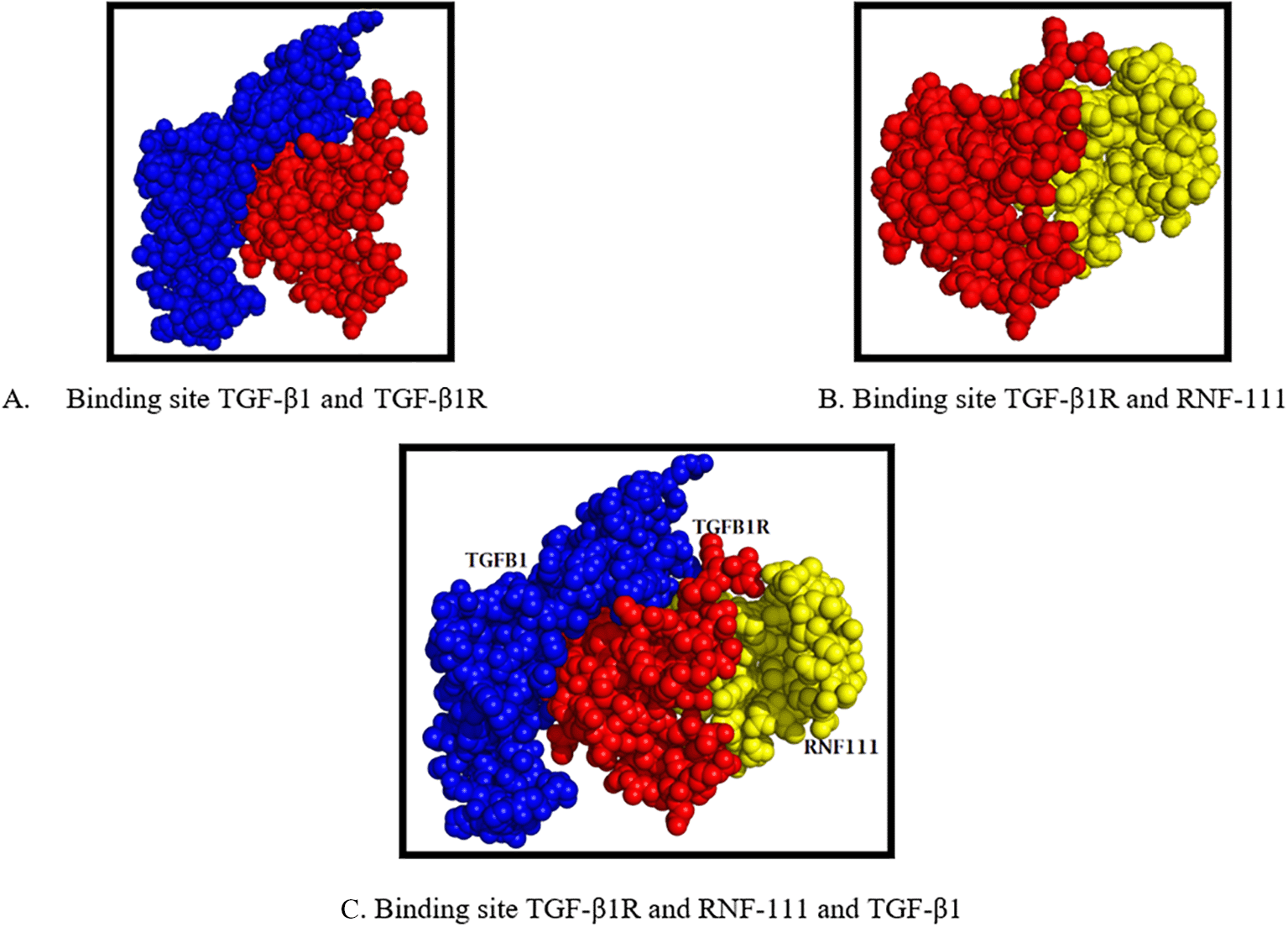 ef7dff5d-ed71-4f01-8786-5f694fad52d3_figure3.gif