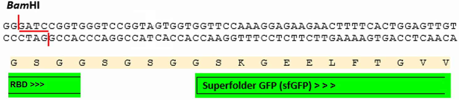 4a436f90-4b1f-40be-aac5-ece59ad12a79_figure3.gif