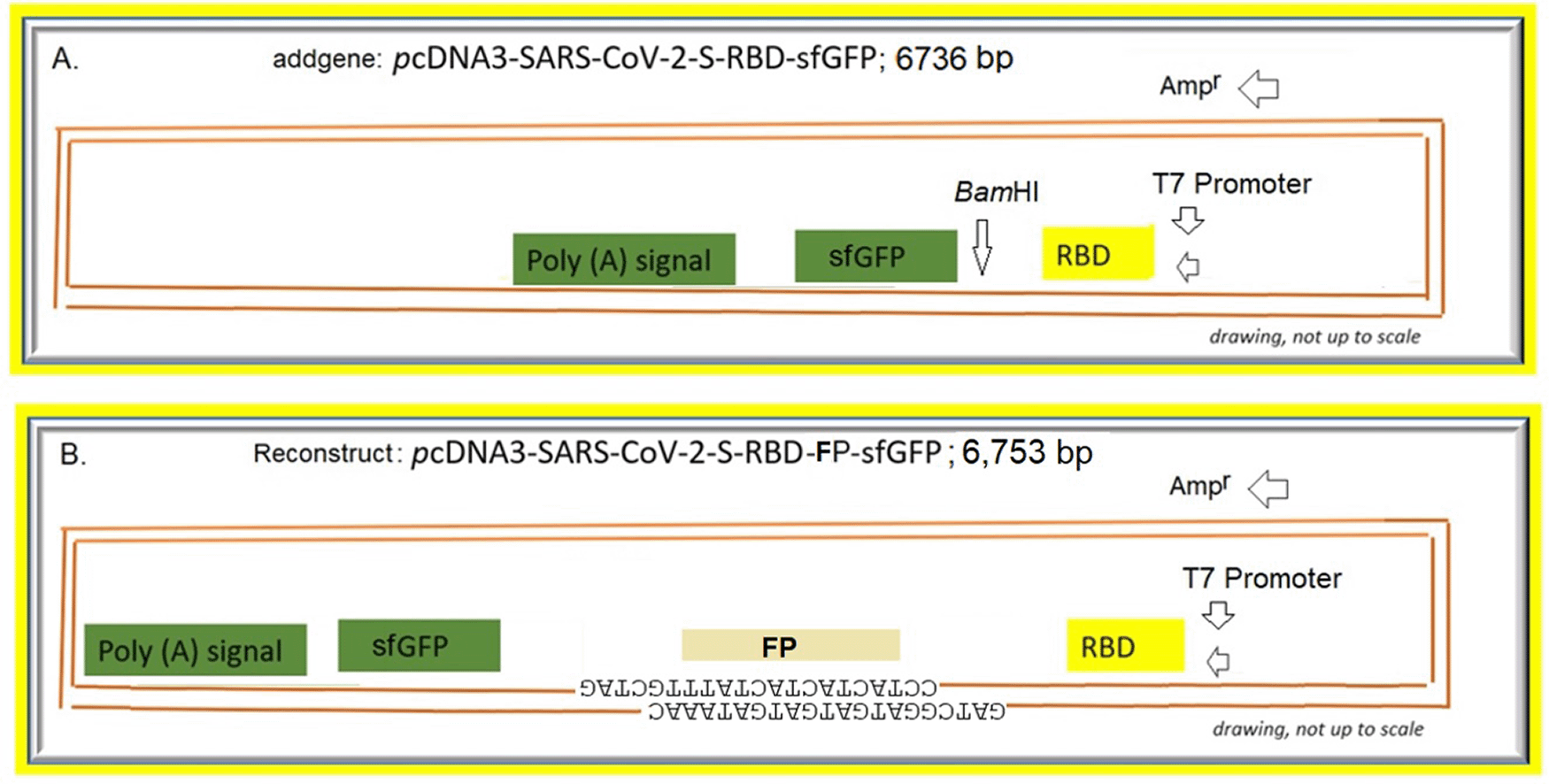 4a436f90-4b1f-40be-aac5-ece59ad12a79_figure5.gif