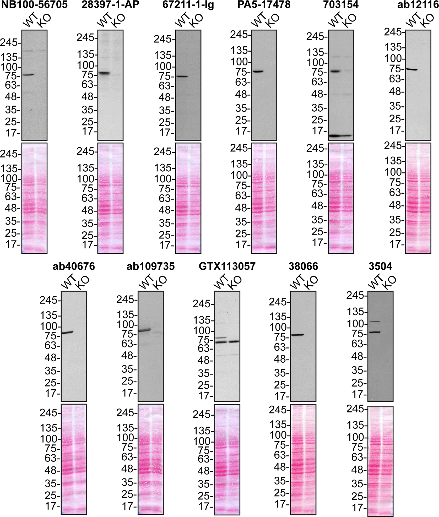 f9bab6c9-8f43-481b-aca1-daa43e1d1581_figure1.gif
