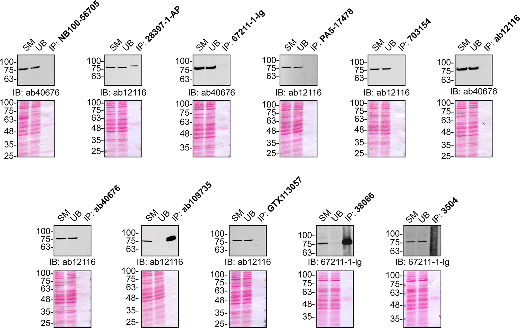 f9bab6c9-8f43-481b-aca1-daa43e1d1581_figure2.gif