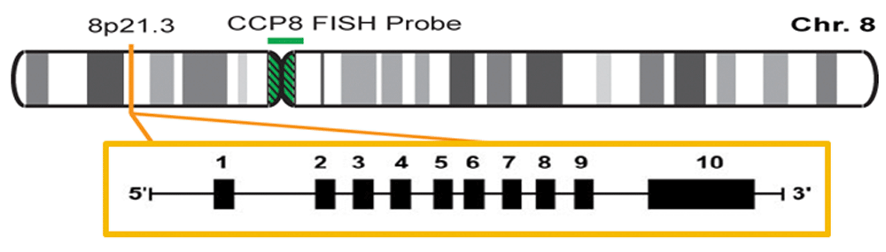 cfd75024-fd4d-41c4-a60d-3bd55a12be90_figure1.gif