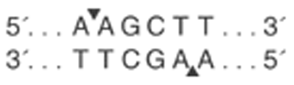 cfd75024-fd4d-41c4-a60d-3bd55a12be90_figure2.gif