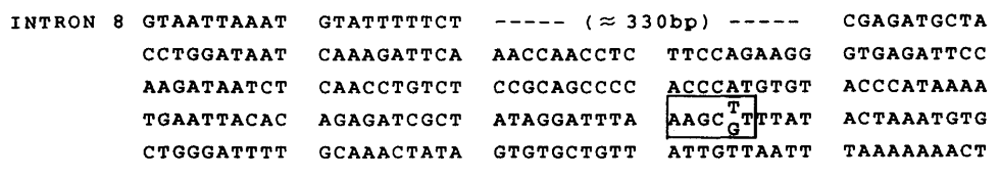 cfd75024-fd4d-41c4-a60d-3bd55a12be90_figure3.gif