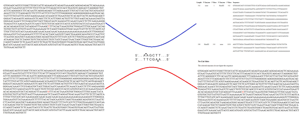 cfd75024-fd4d-41c4-a60d-3bd55a12be90_figure4.gif