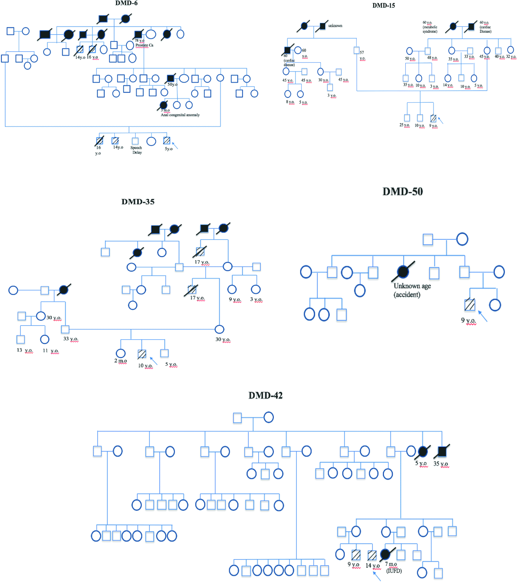 36e206bf-c9ef-4bf9-9ea0-8b96f0bfe1ca_figure5.gif