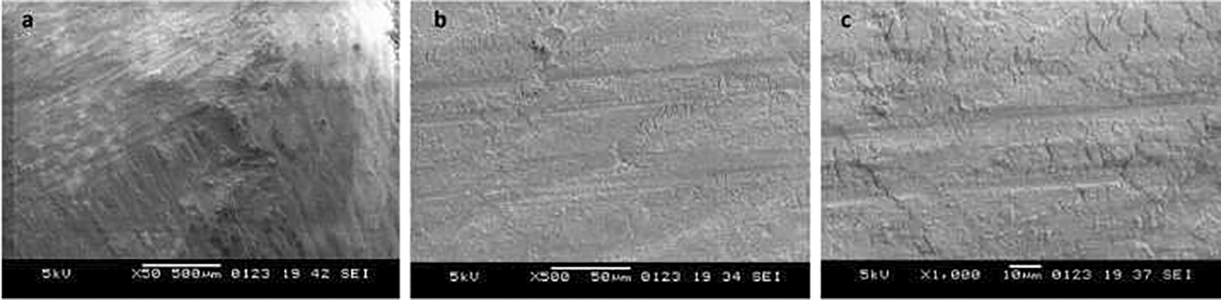 3ee8585f-ec9d-492b-a149-2c6e8cff43e8_figure1.gif