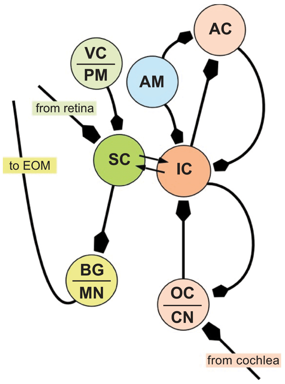 6a390fd8-b781-4b30-b501-79ac3a1d3083_figure7.gif