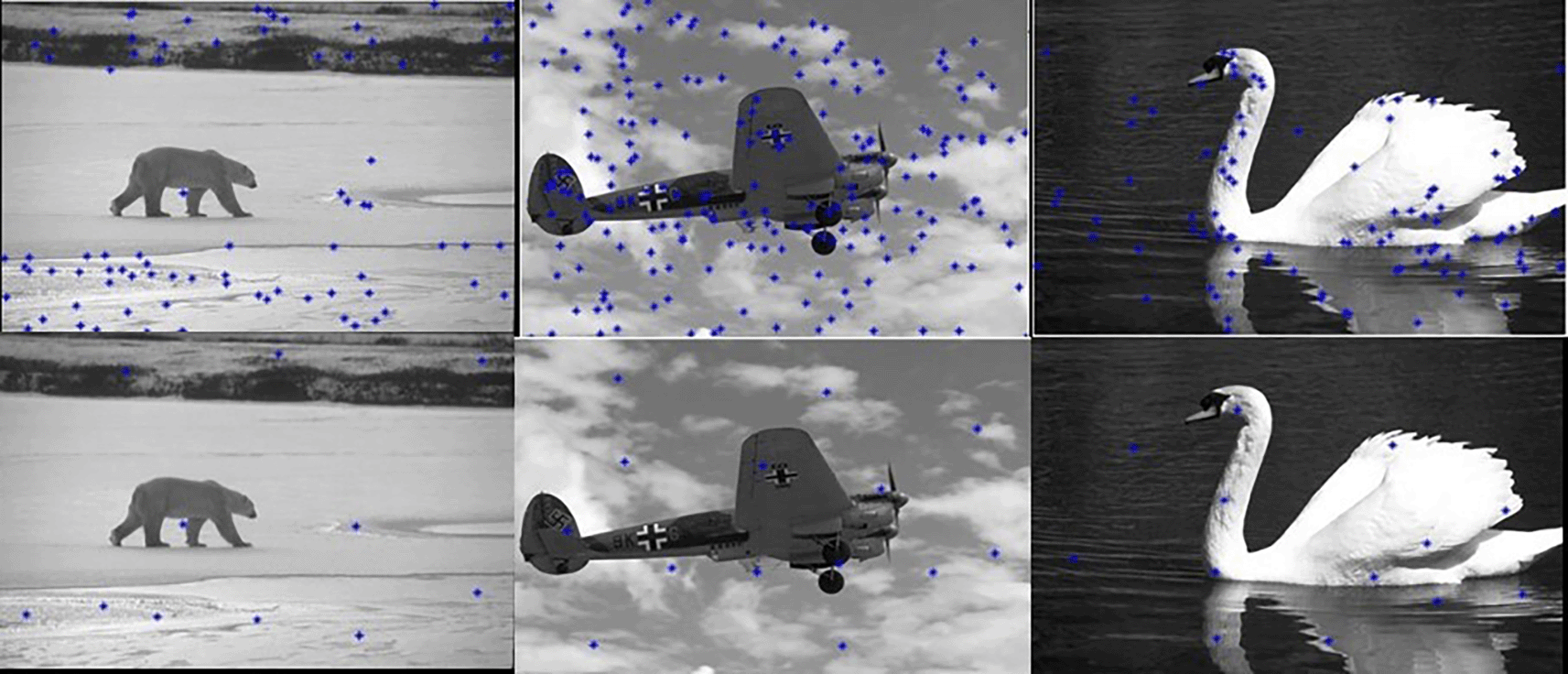 92b54204-8ae6-4caf-8981-942247274d6c_figure7.gif