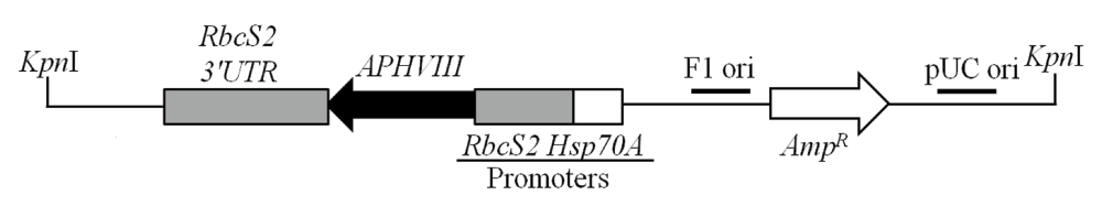 485f11ee-7793-4a47-93f7-e73a9792e3c8_figure1.gif
