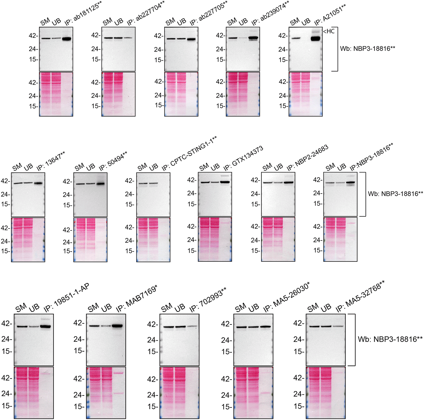 d49fa367-2f5d-46f9-9e51-667a59e6687d_figure2.gif