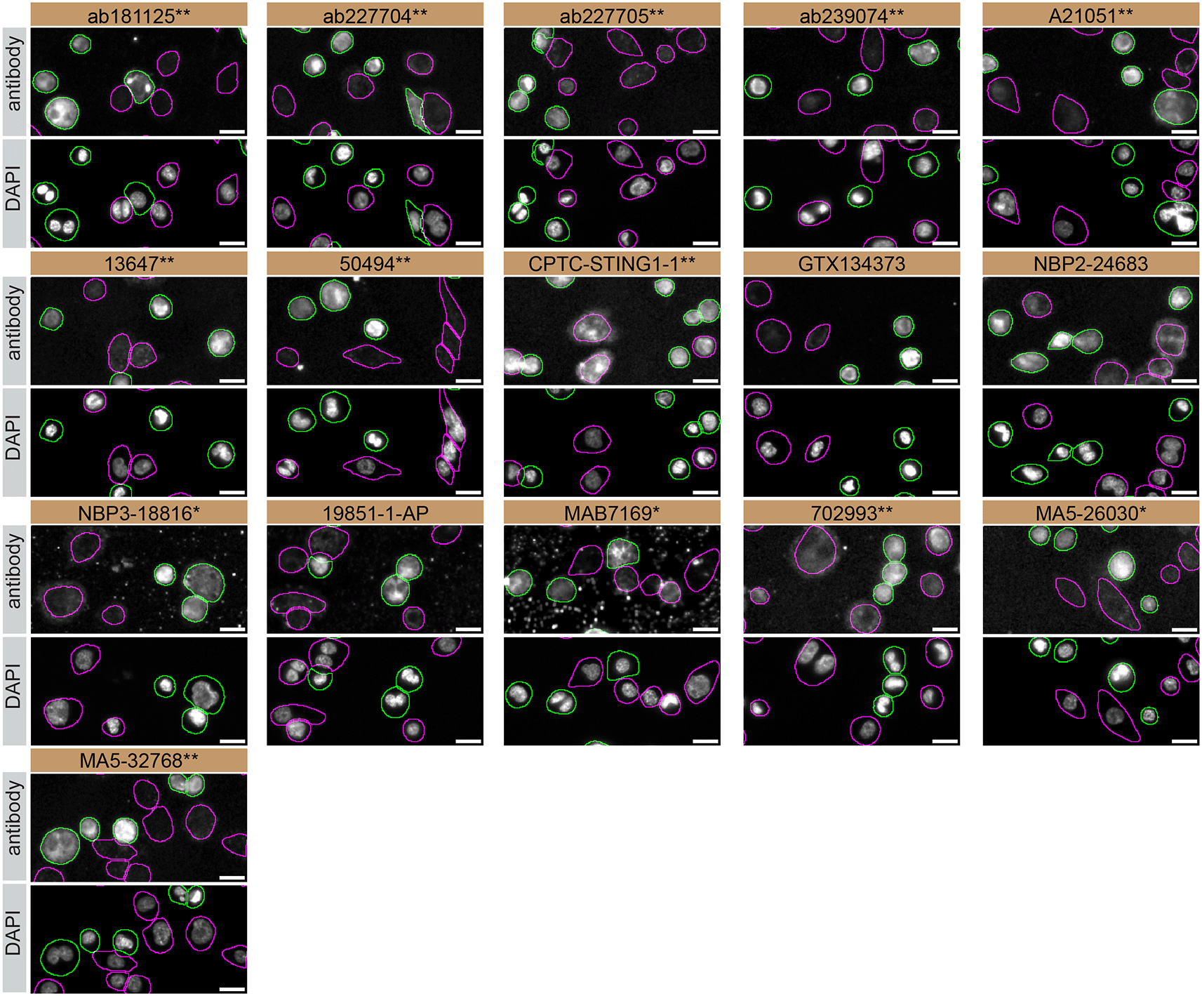 d49fa367-2f5d-46f9-9e51-667a59e6687d_figure3.gif