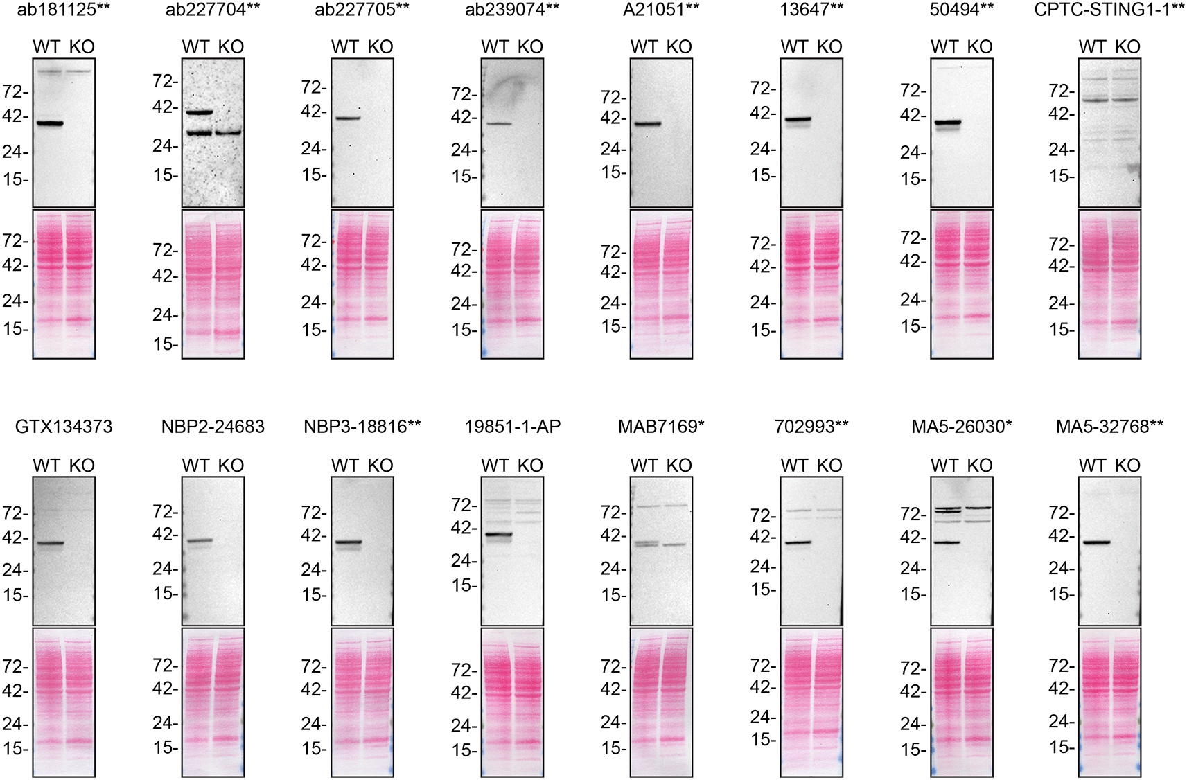 5355c7ca-ddd7-4fa4-895a-2d271d95d736_figure1.gif