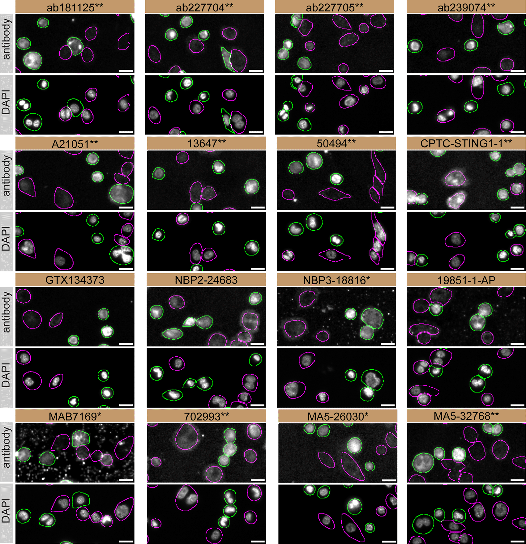 5355c7ca-ddd7-4fa4-895a-2d271d95d736_figure3.gif
