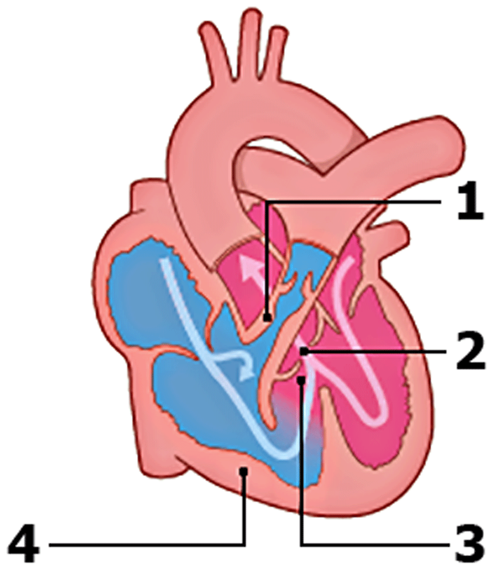 ab0de980-1295-41ec-8352-debd9c25d2d6_figure1.gif