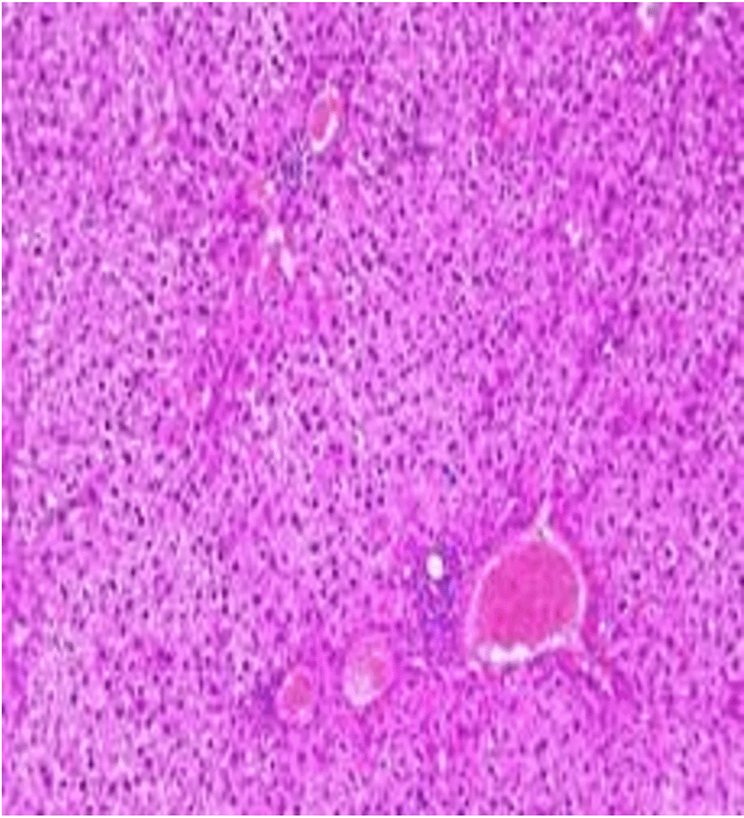440eb626-bd32-4caa-b3cf-bf6f09d74d6c_figure10.gif