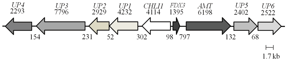 9328d648-603d-4edf-b90f-dc96cf3e7924_figure5.gif