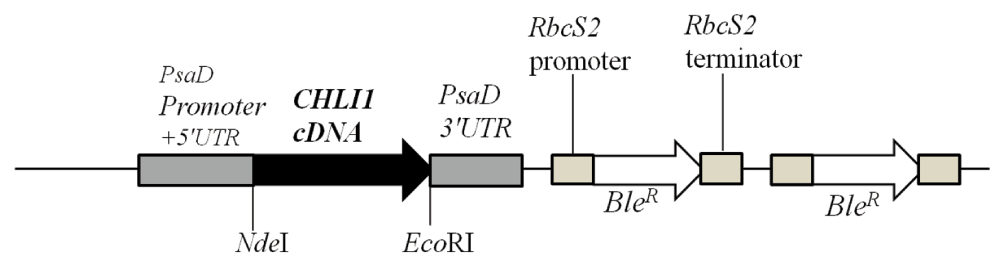 9328d648-603d-4edf-b90f-dc96cf3e7924_figure8.gif