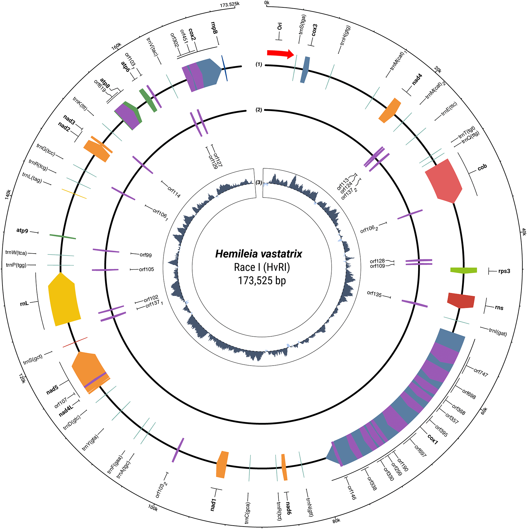 55415731-a1ca-4614-a918-43a6a5bde64f_figure1.gif