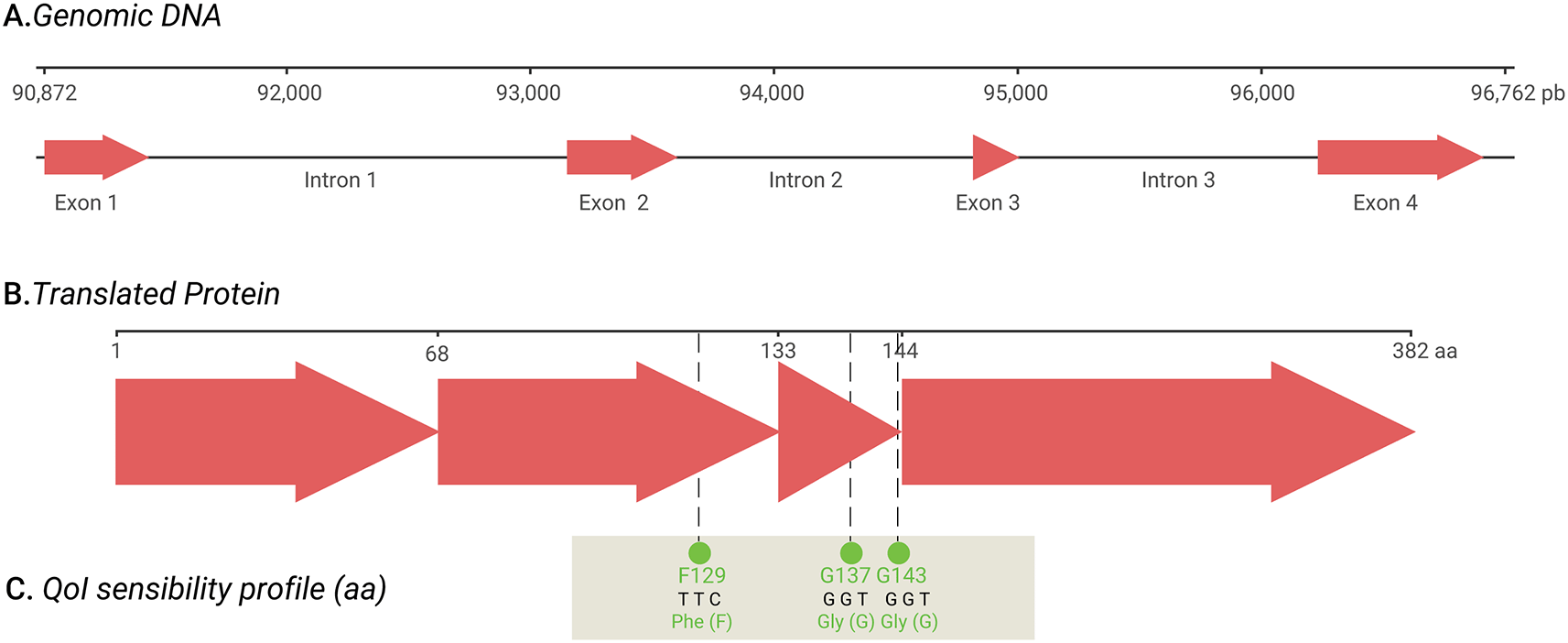 55415731-a1ca-4614-a918-43a6a5bde64f_figure2.gif