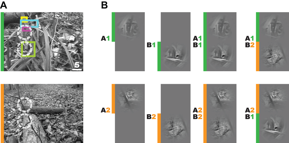 dc80c8e5-1adf-4531-8d00-005e91766f44_figure1.gif