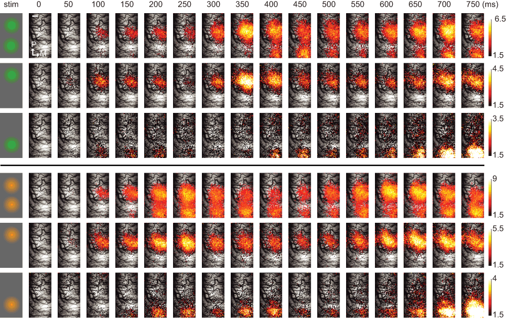 dc80c8e5-1adf-4531-8d00-005e91766f44_figure2.gif