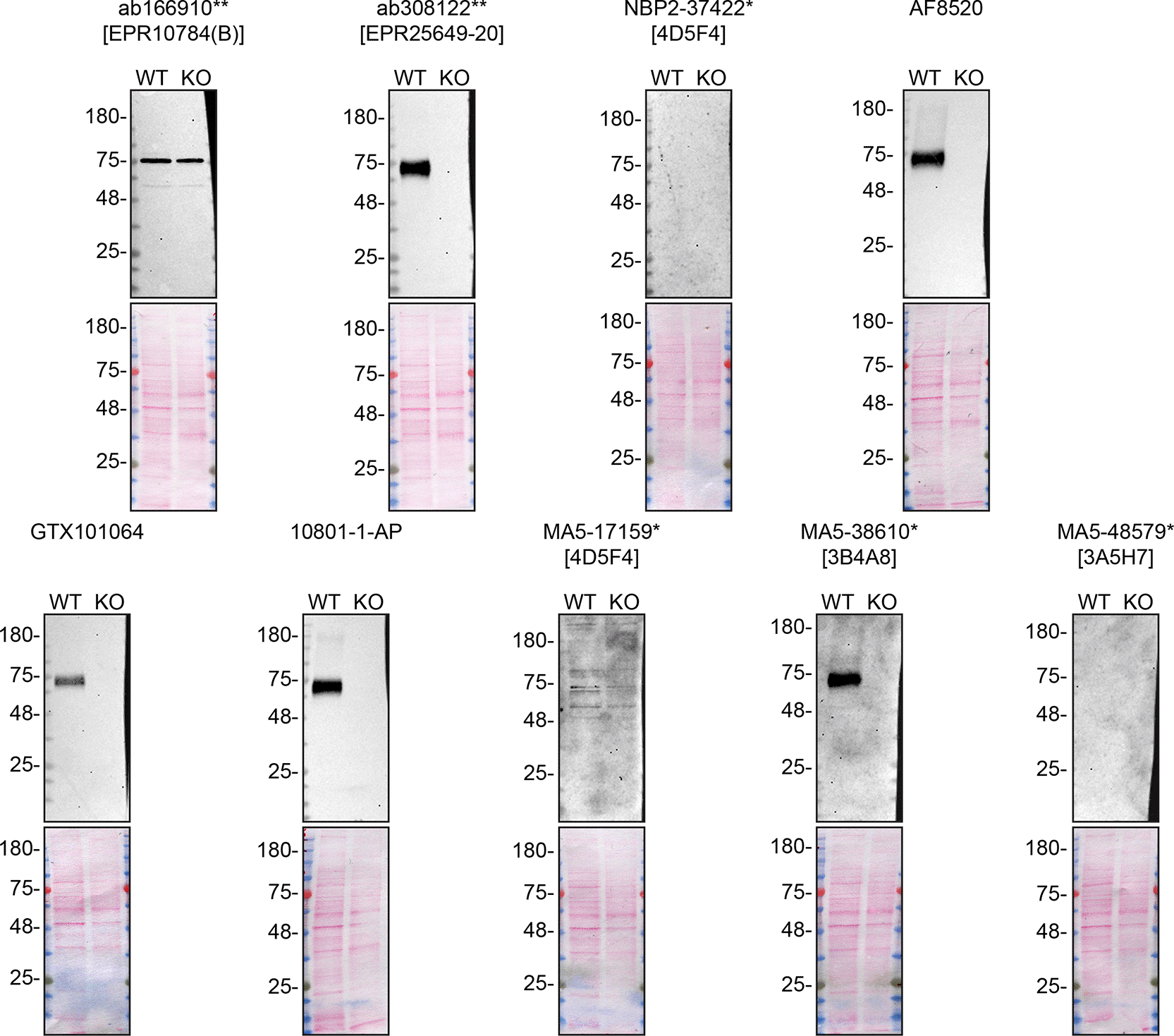 0311e140-6f99-48ad-ab00-2a5d5cd8ceea_figure1.gif