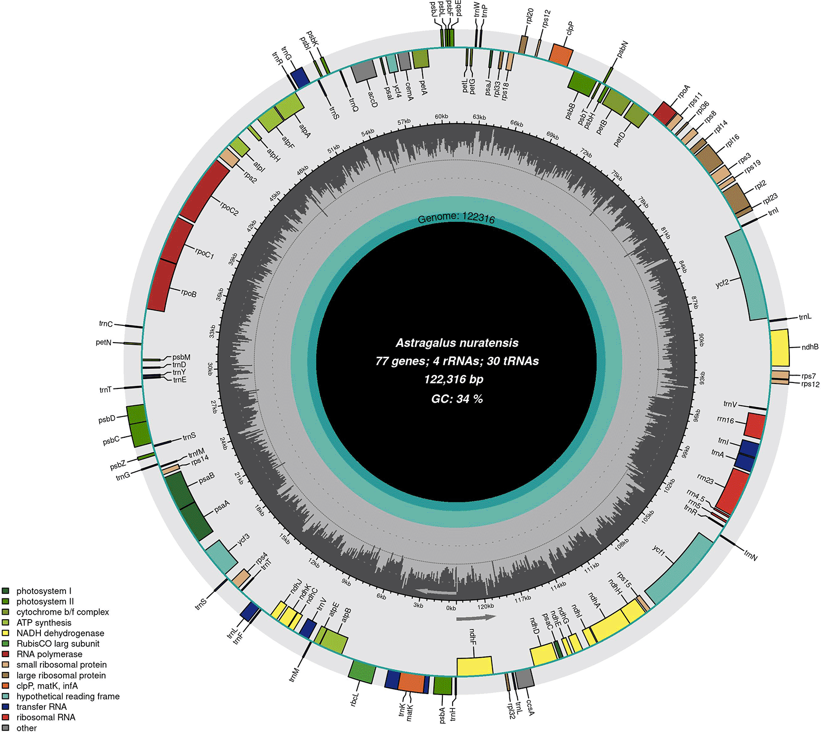 261961c1-5d02-4920-a79f-a83ecf8621f4_figure1.gif