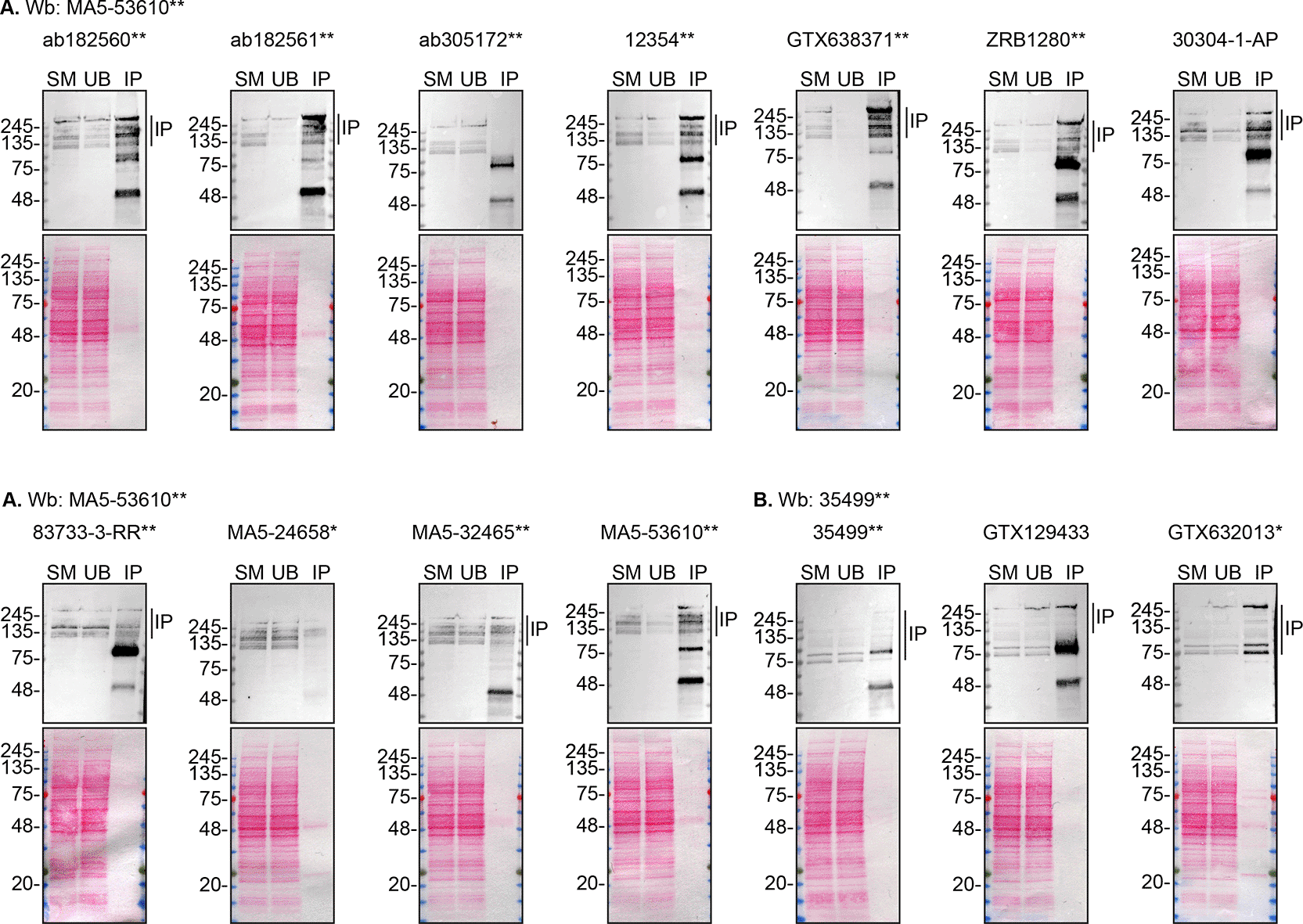 f75ceca2-77ee-491a-ac5f-36f0ebefa83b_figure2.gif