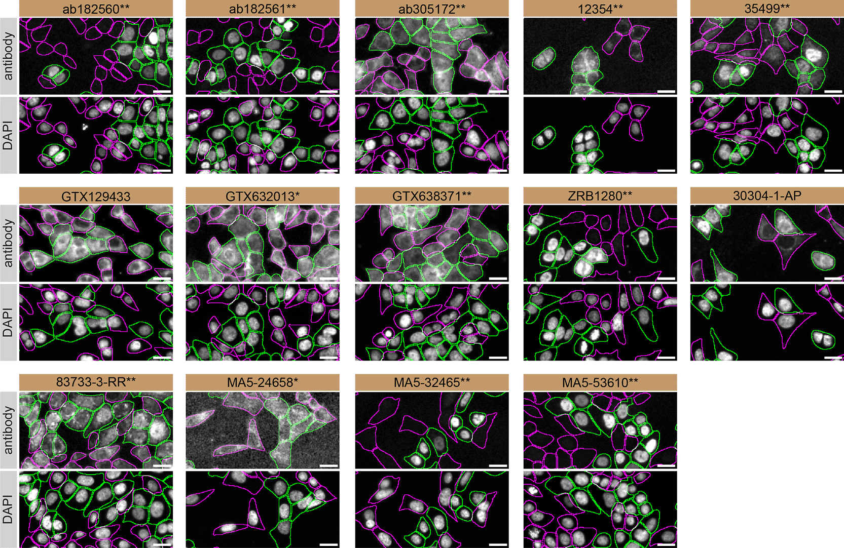 f75ceca2-77ee-491a-ac5f-36f0ebefa83b_figure3.gif