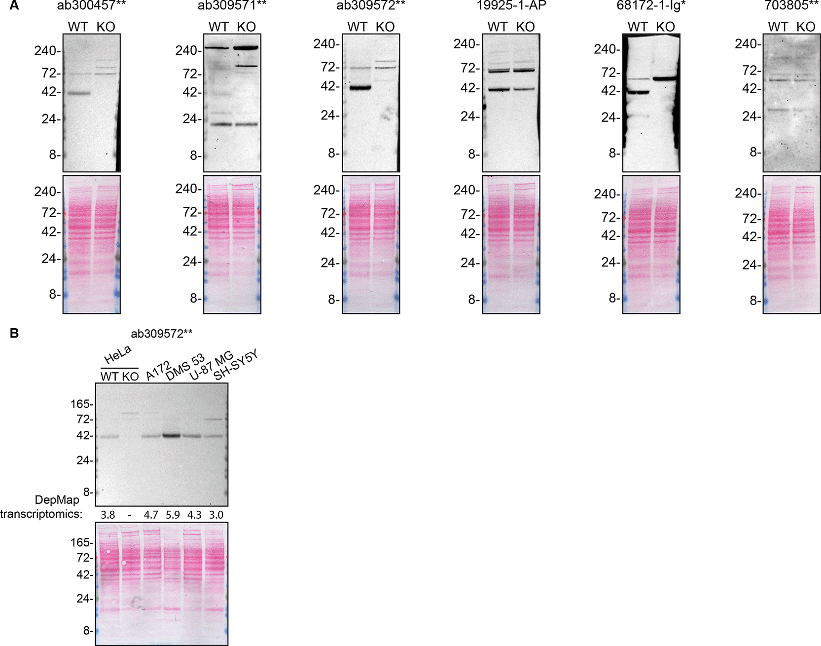 ecb585b5-36c3-4371-82f5-4a3ee761e501_figure1.gif
