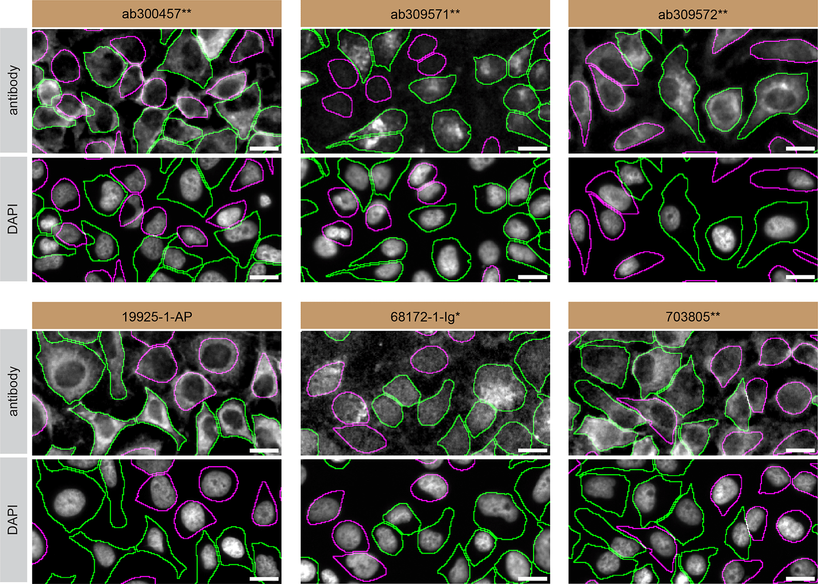 ecb585b5-36c3-4371-82f5-4a3ee761e501_figure3.gif