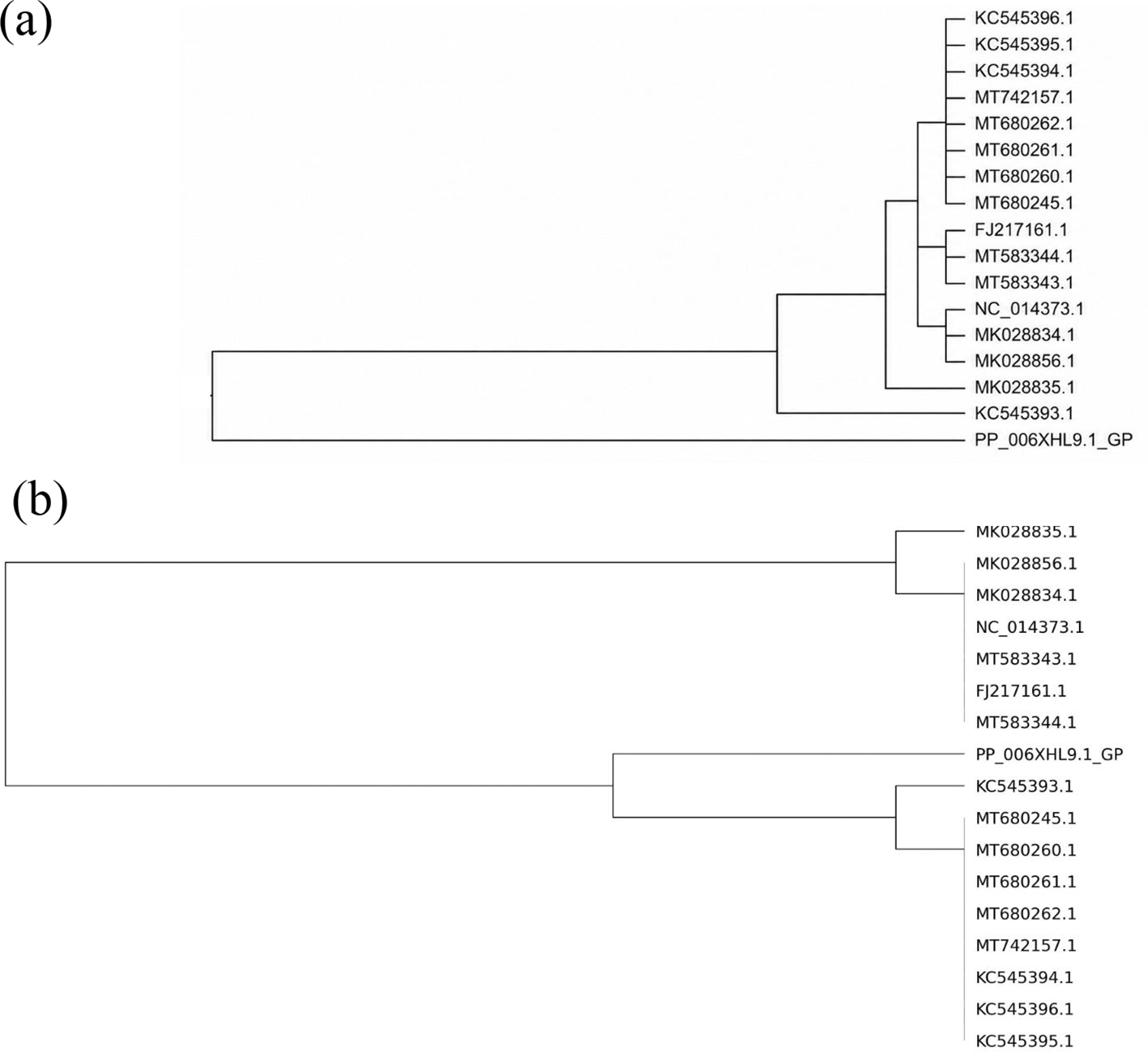 b95932b3-3290-431c-ac9c-193800443ee1_figure3.gif