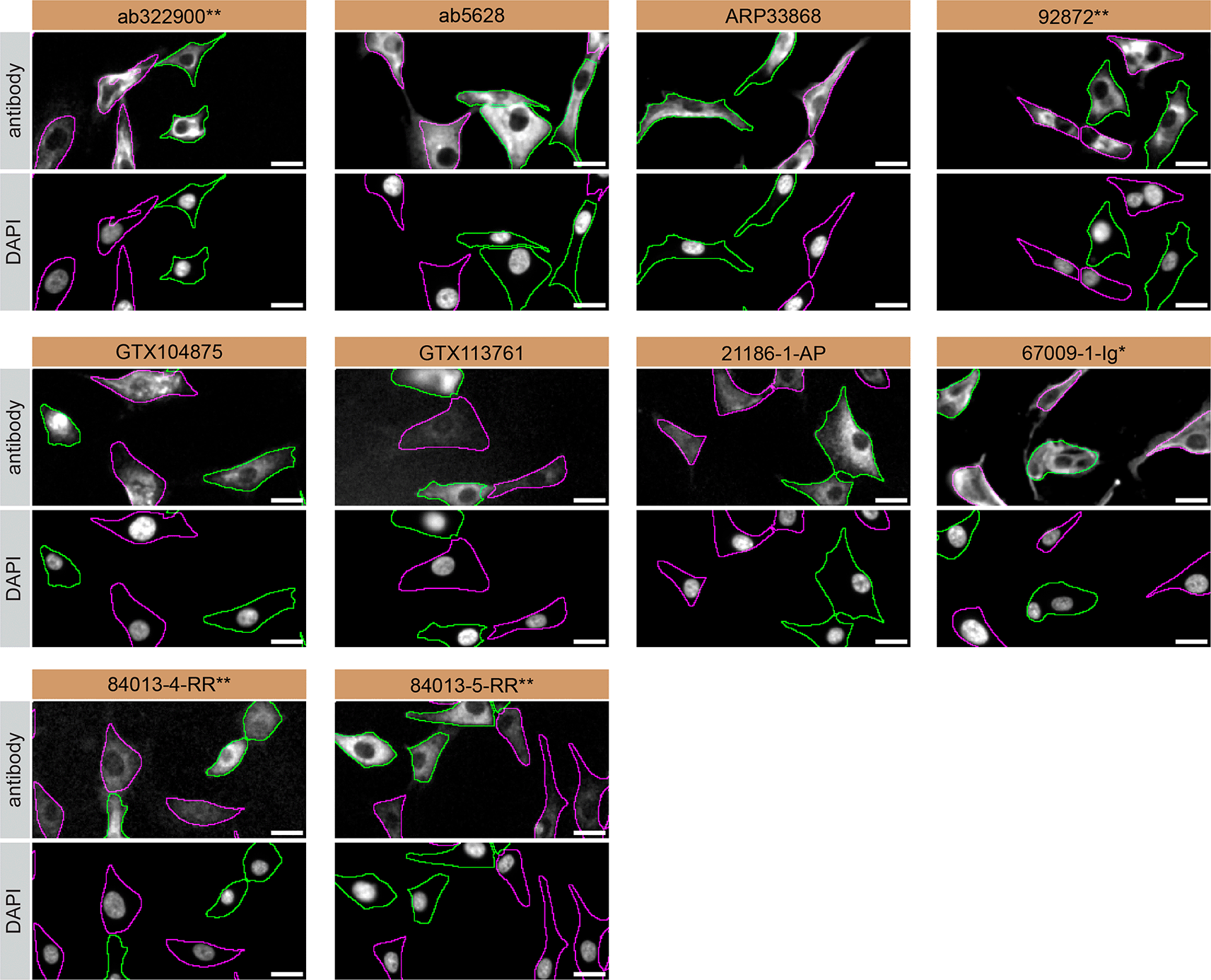 fc0af0b0-8ca6-4344-a596-a7a8ea56ae96_figure3.gif