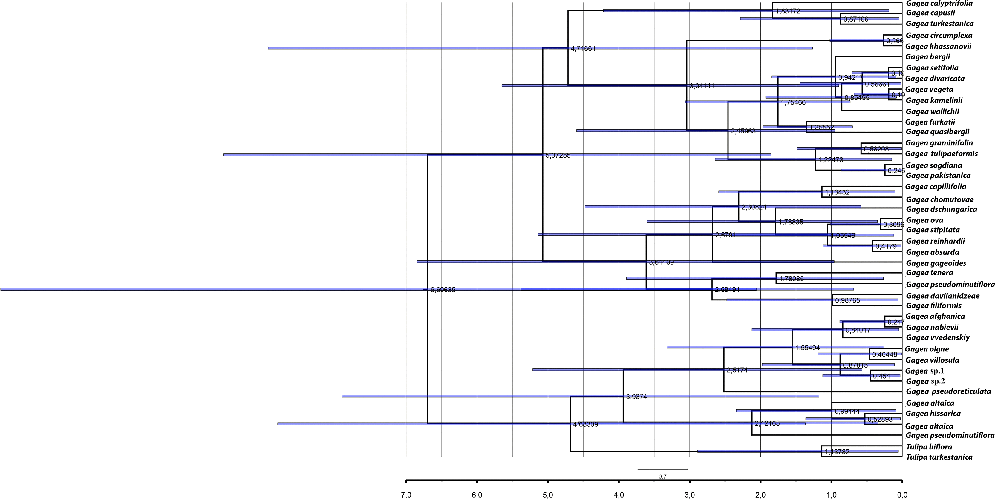 Integrative taxonomy reveals two new species of... | F1000Research