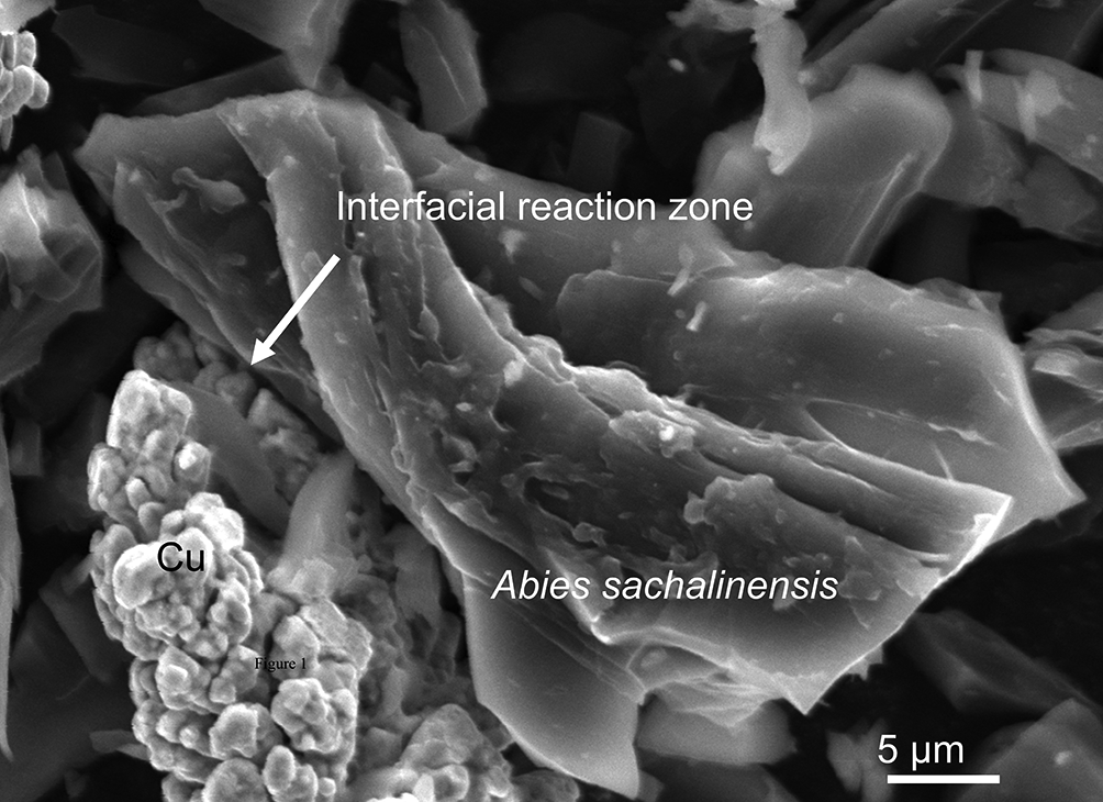 c42265f0-58c9-4871-a3f3-749afea57d4b_figure3.gif