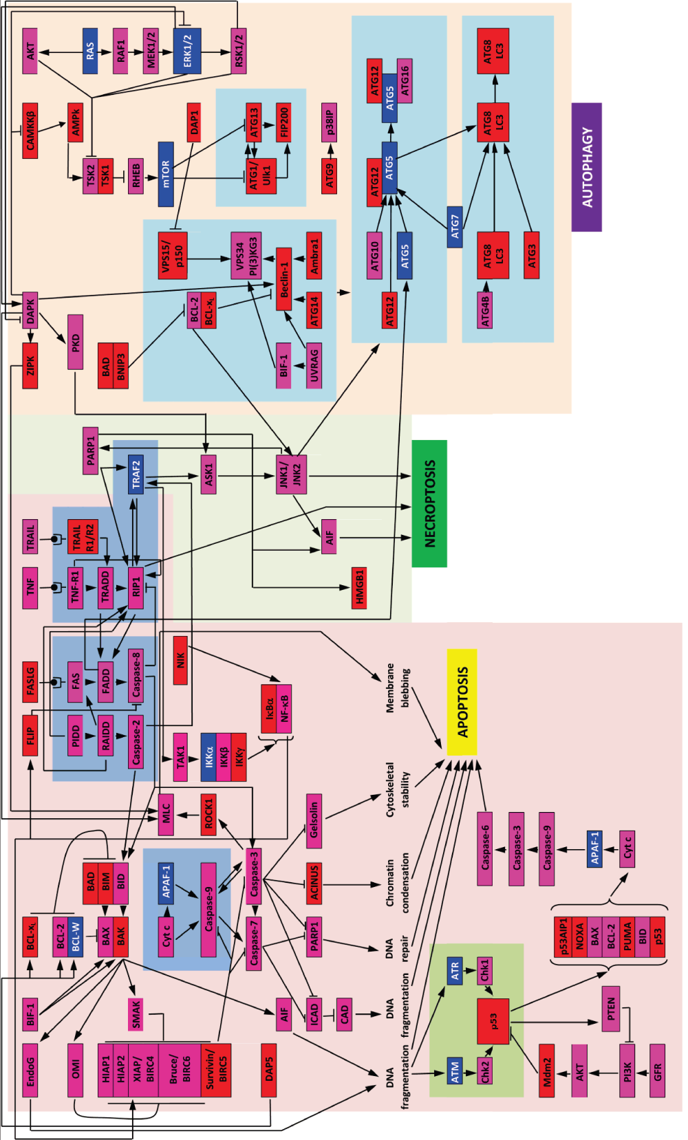 2574fb48-6a18-4fea-bca5-d06e562934a7_figure1.gif