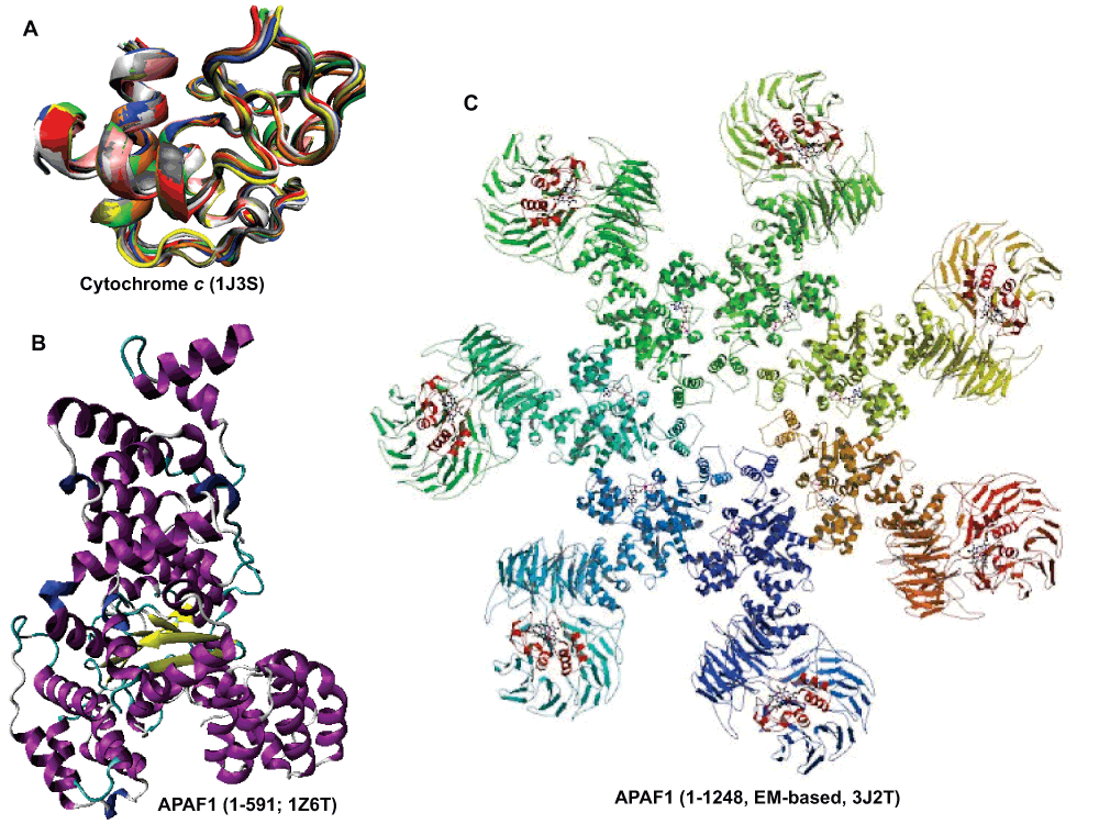 2574fb48-6a18-4fea-bca5-d06e562934a7_figure13.gif