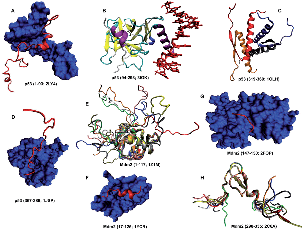 2574fb48-6a18-4fea-bca5-d06e562934a7_figure14.gif
