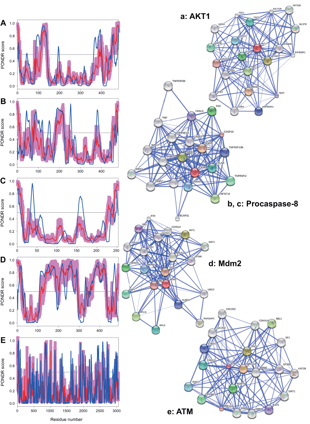 2574fb48-6a18-4fea-bca5-d06e562934a7_figure5.gif