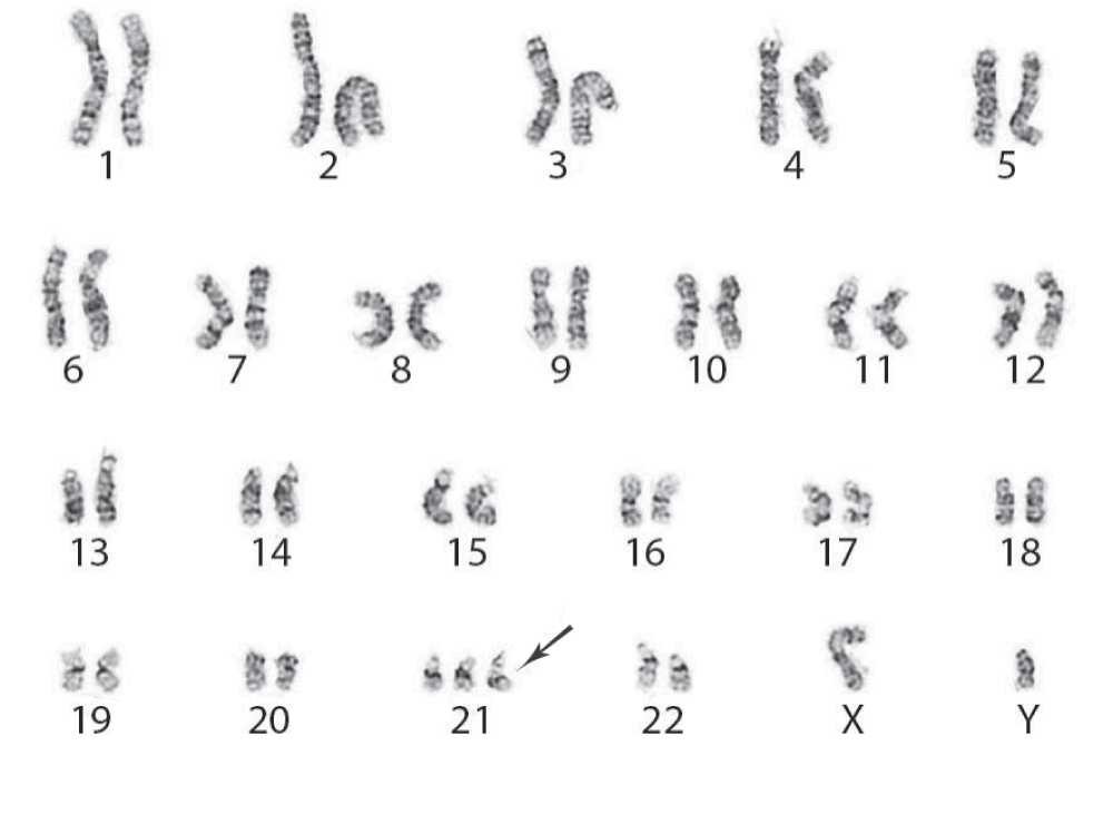 0a322ec5-e2eb-4227-b2aa-430981497549_figure3.gif