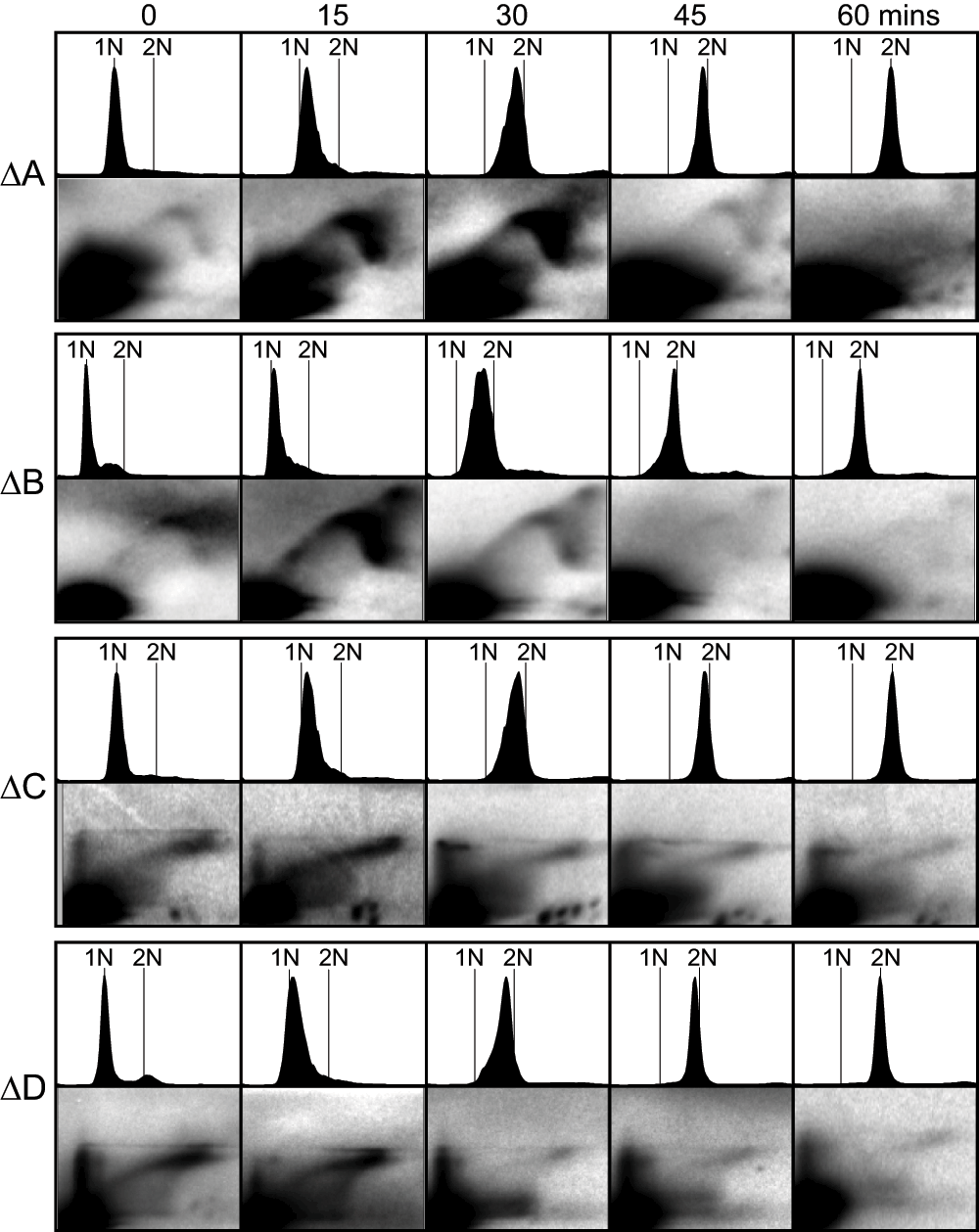 5c3635cf-6e33-4caf-a9a0-e33bf29365cf_figure6.gif