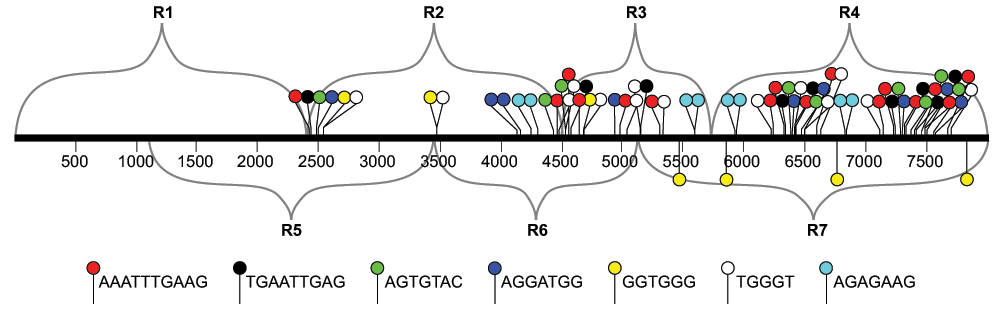 5c3635cf-6e33-4caf-a9a0-e33bf29365cf_figure9.gif