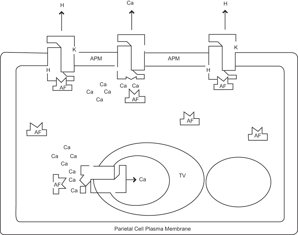 7d09d137-81f5-4c42-b143-d95713d805cc_figure1.gif