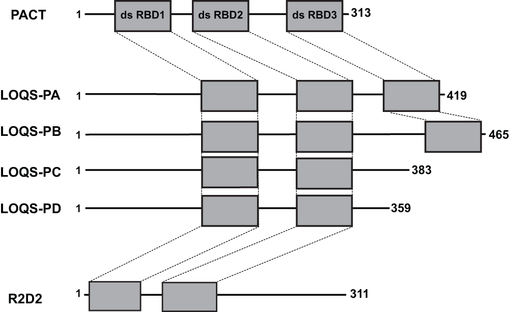 52dd5ad3-71c8-472b-b7fd-b850fd7a8f65_figure1.gif